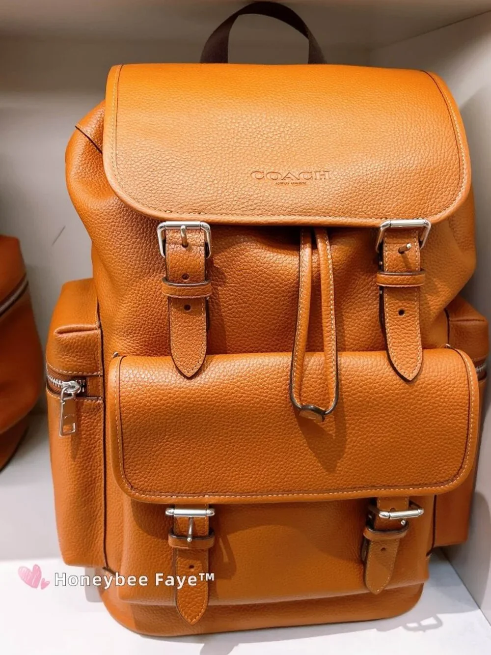 Sprint Backpack CET18
